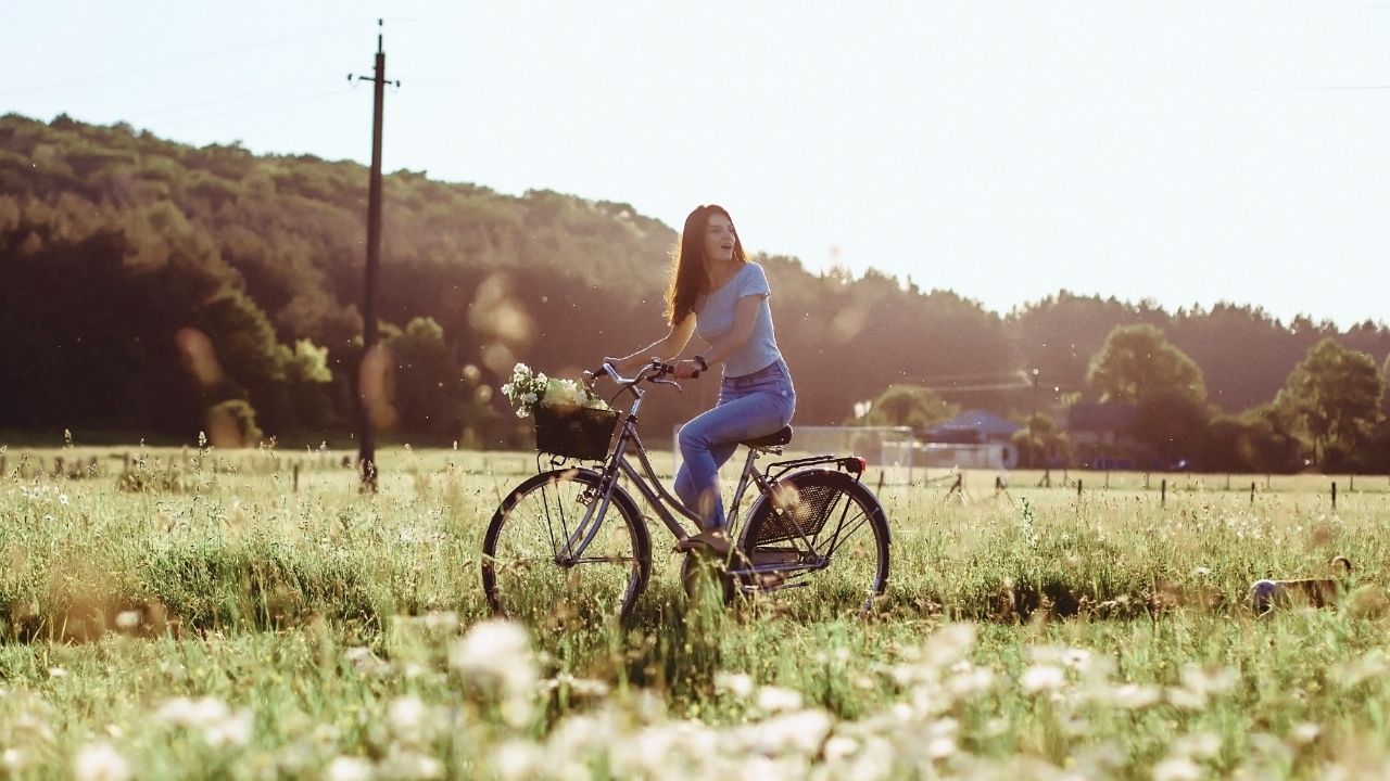 girl-walks-with-puppy-field-bicycle-back-sunny-light girl-walks-with-puppy-field-bicycle-back-sunny-light